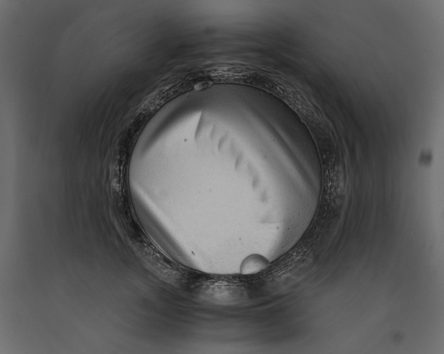 X0000091060755200708271155