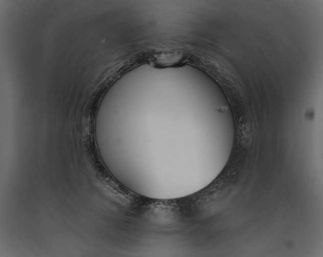 X0000091060756200708271155