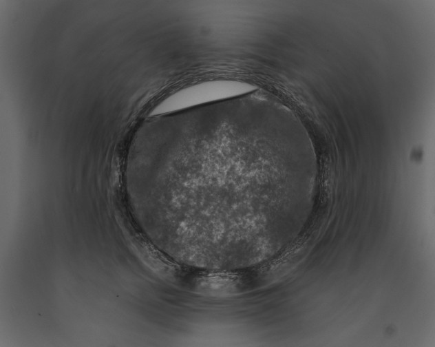 X0000091060758200708271155