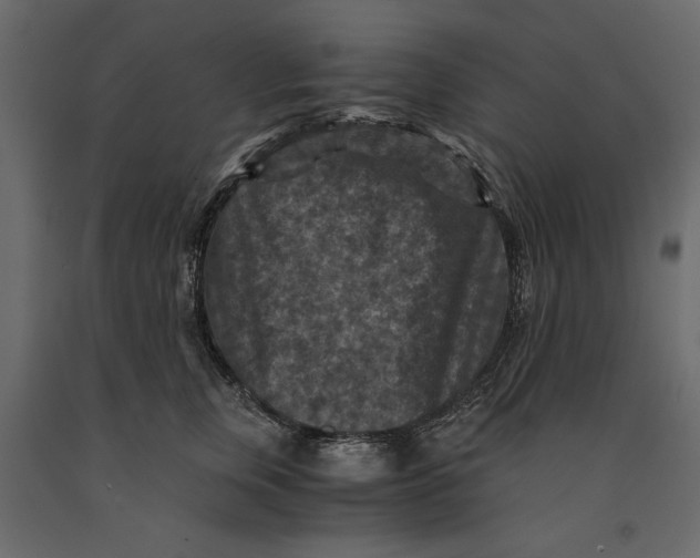 X0000091060759200708271155