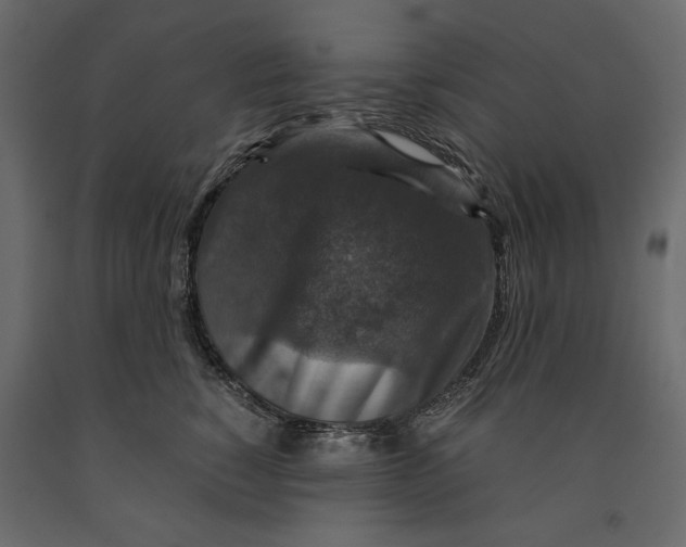X0000091060760200708271155