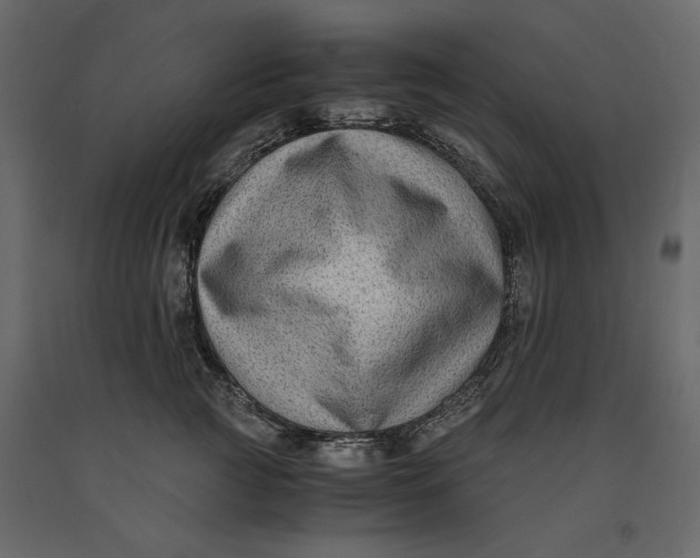 X0000091060761200708271155