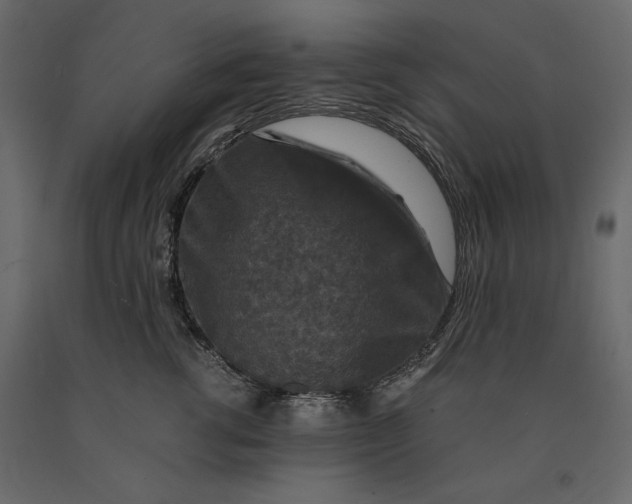 X0000091060762200708271155