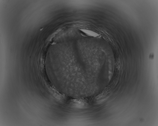 X0000091060763200708271155