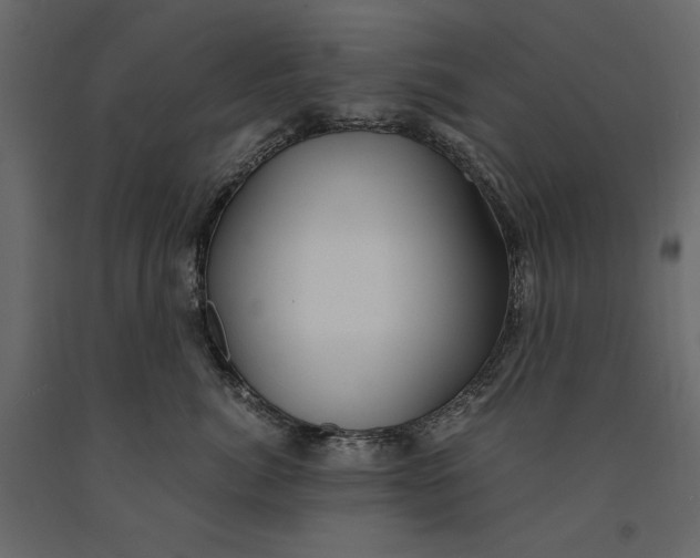 X0000091060764200708271155
