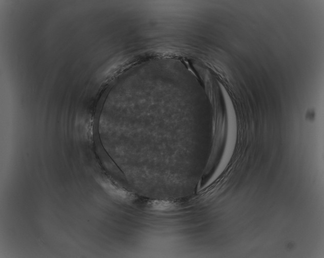 X0000091060766200708271155