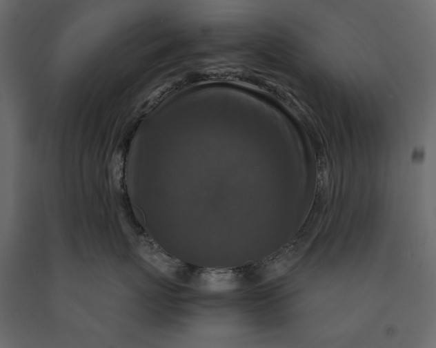 X0000091060767200708271155