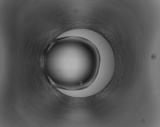 X0000091060768200708271155