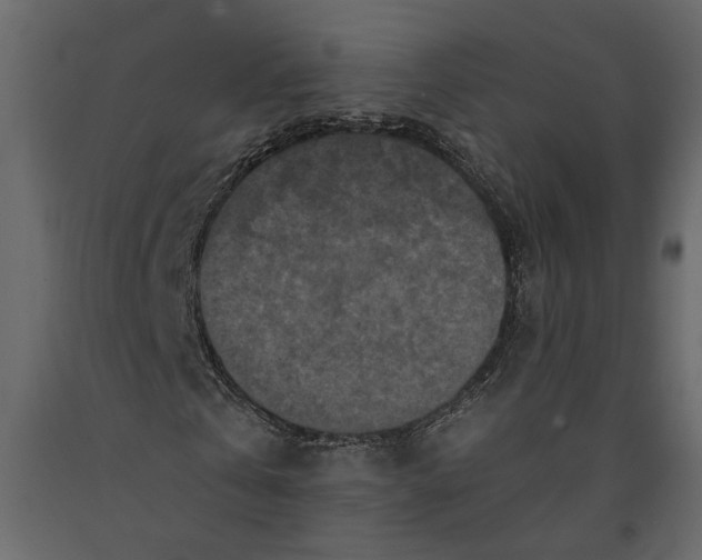 X0000091060769200708271155