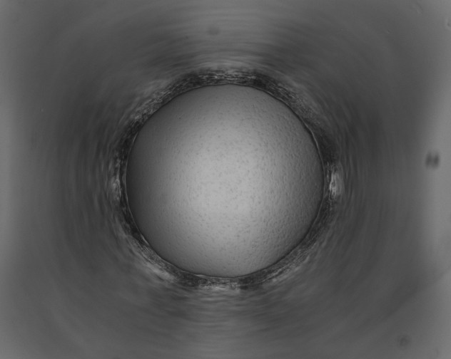 X0000091060771200708271155