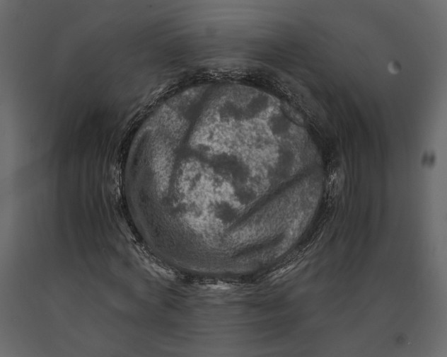 X0000091060772200708271155