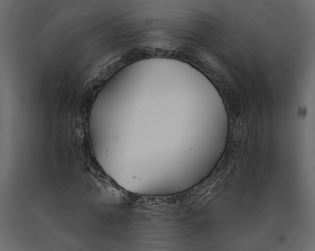 X0000091060774200708271155
