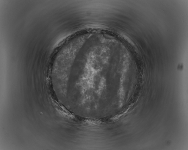 X0000091060775200708271155