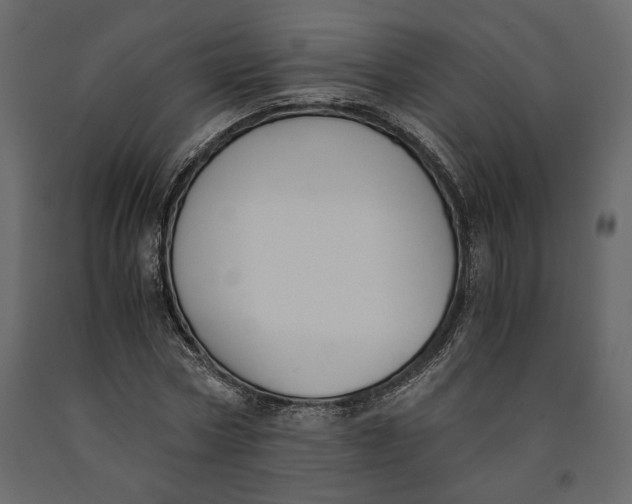 X0000091060778200708271155