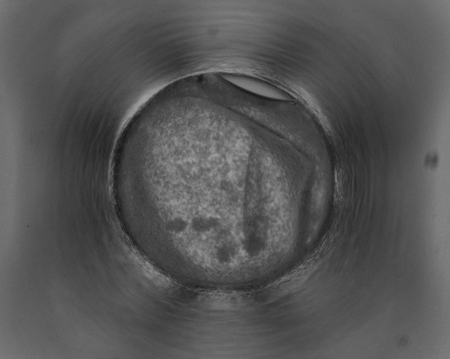X0000091060780200708271155