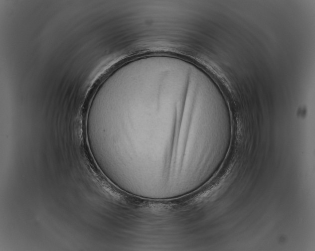 X0000091060782200708271155