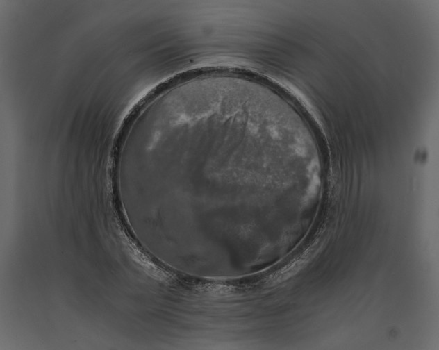 X0000091060783200708271155