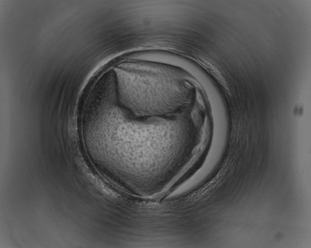 X0000091060784200708271155