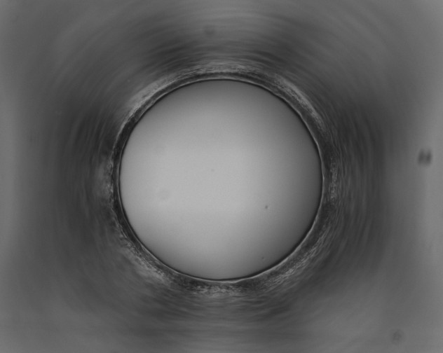 X0000091060786200708271155