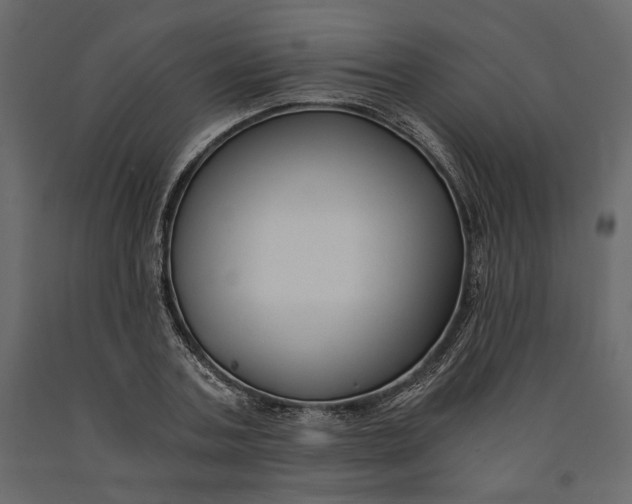 X0000091060787200708271155