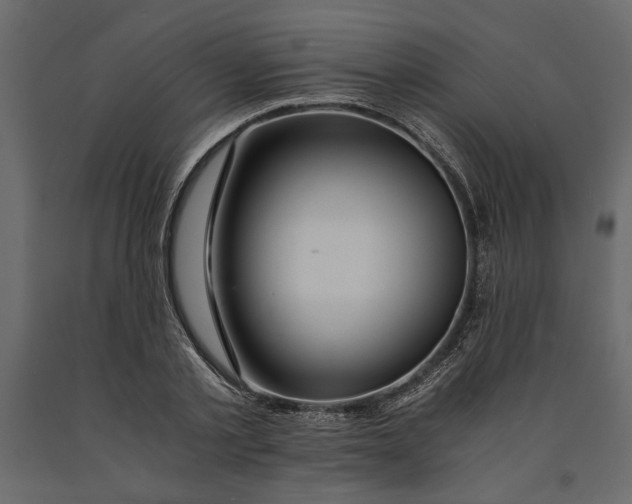 X0000091060789200708271154