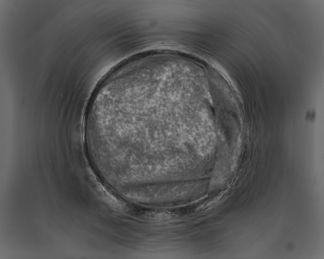 X0000091060791200708271154