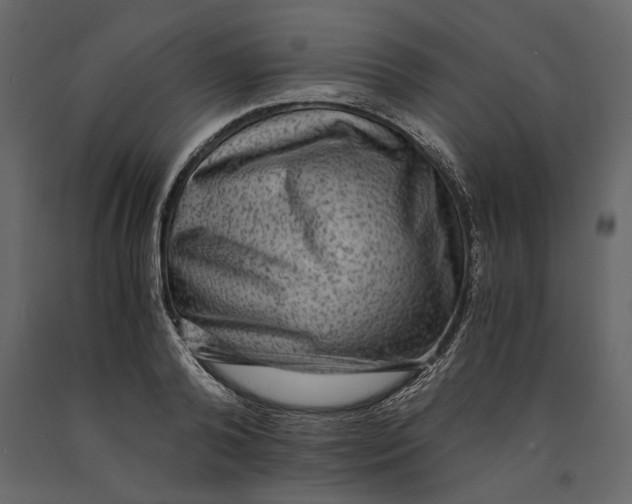 X0000091060792200708271154