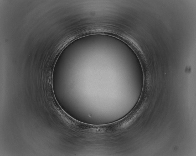 X0000091060793200708271154