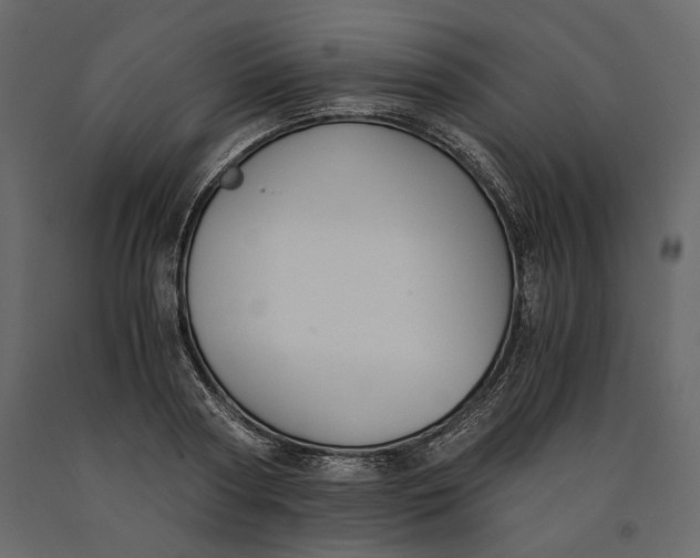 X0000091060794200708271154