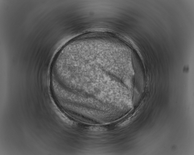 X0000091060795200708271154
