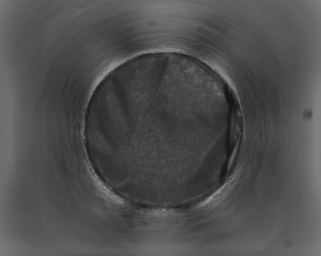 X0000091060797200708271154