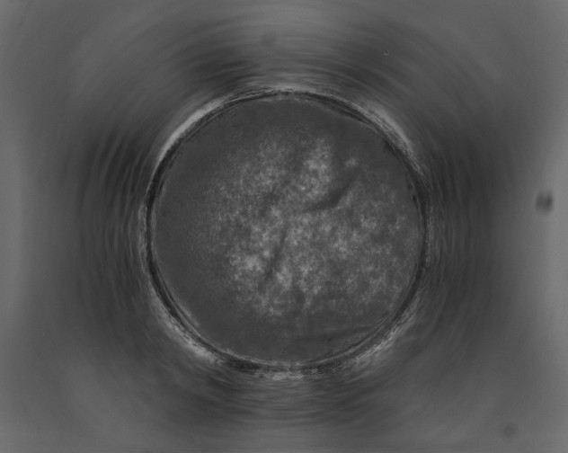 X0000091060798200708271154