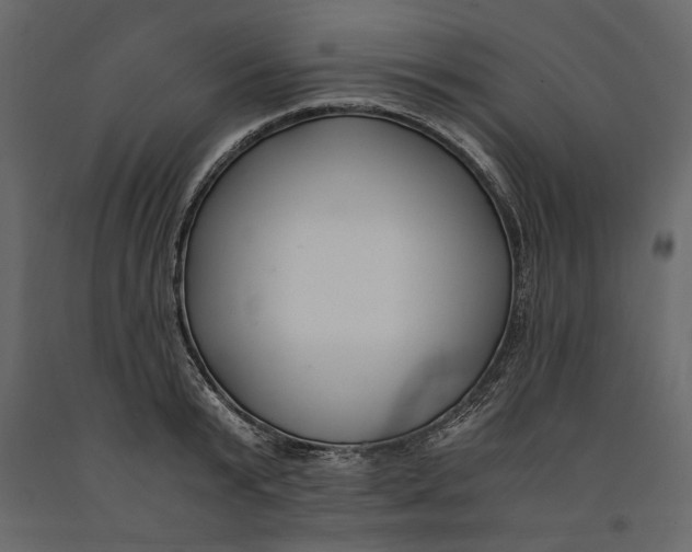 X0000091060799200708271154