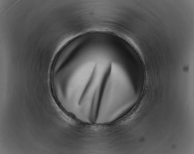 X0000091060803200708271154