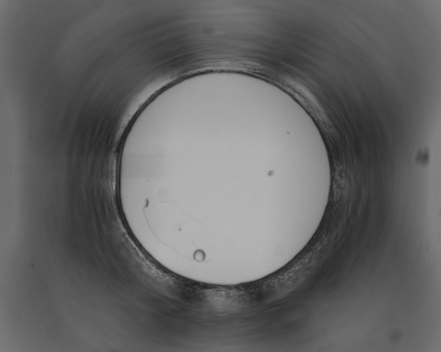 X0000091060804200708271154