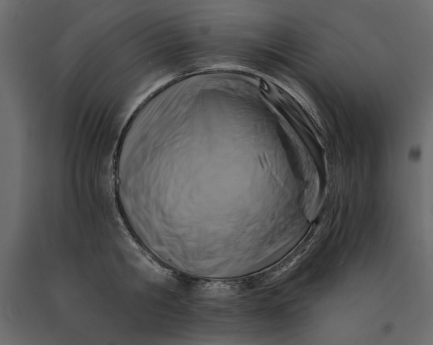 X0000091060806200708271154
