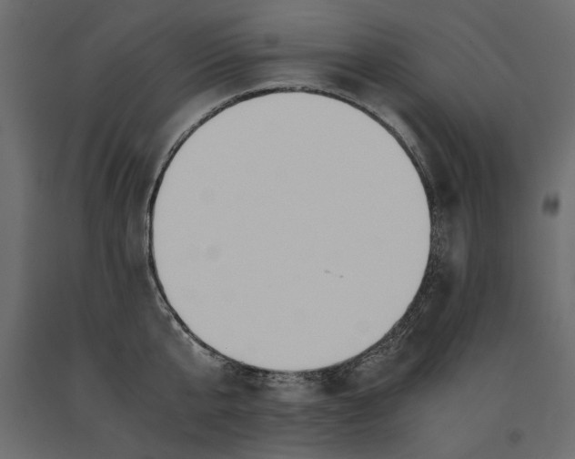 X0000091060807200708271154