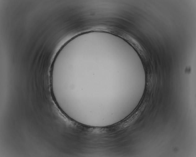 X0000091060808200708271154