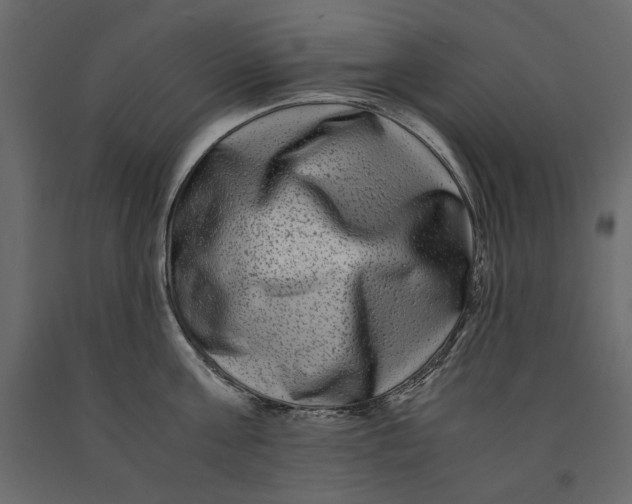 X0000091060811200708271154