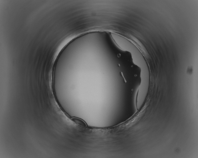 X0000091060812200708271154