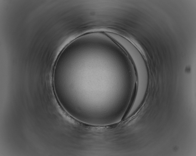 X0000091060813200708271154