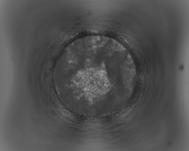 X0000091060817200708271154