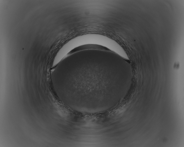 X0000091060818200708271154