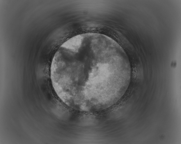 X0000091060820200708271154