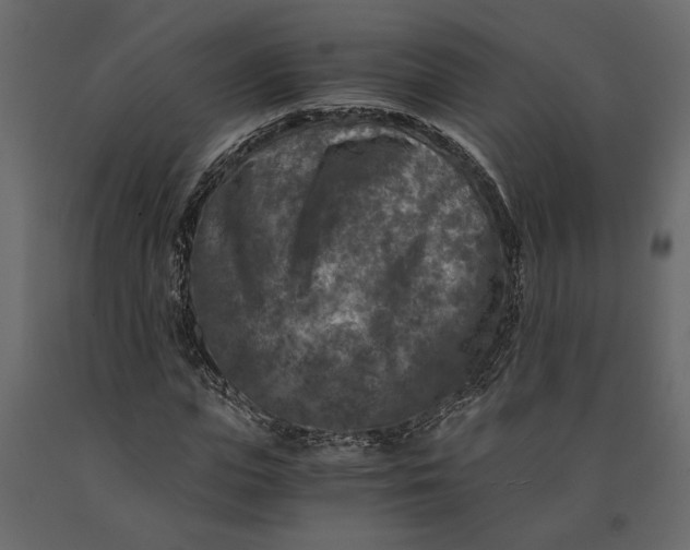 X0000091060823200708271154
