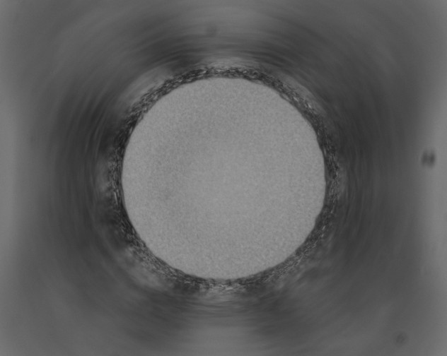X0000091060824200708271154
