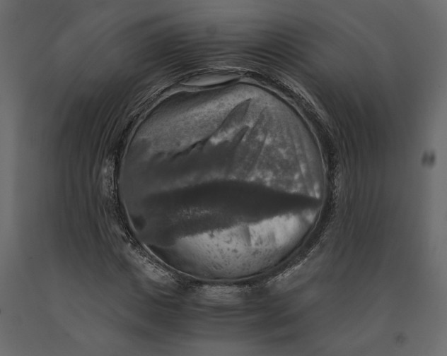 X0000091060825200708271154