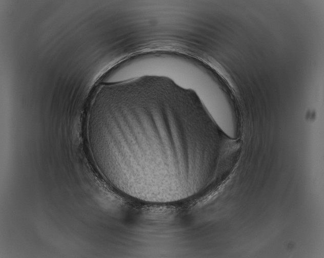 X0000091060826200708271154