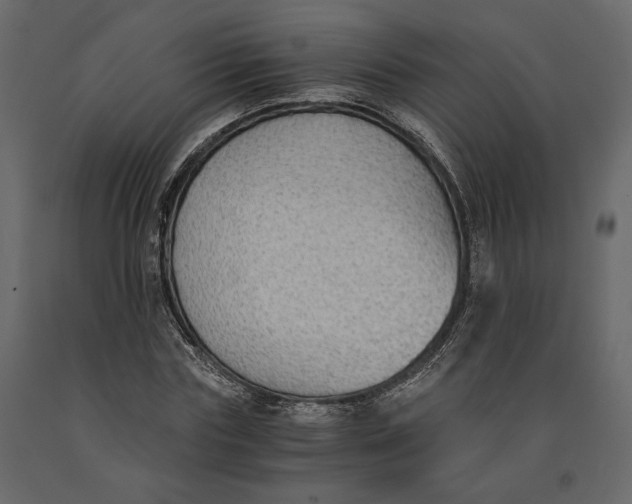 X0000091060827200708271154