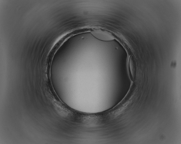 X0000091060830200708271154